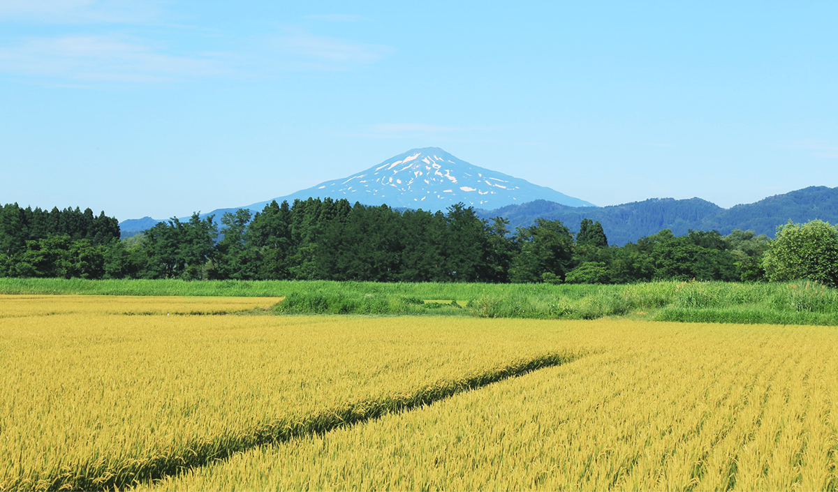 其の壱　TERROIR